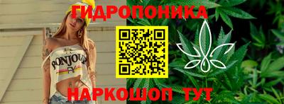 стаф Донецк