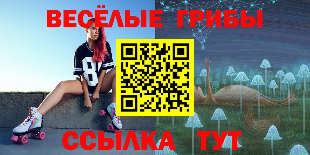 Галлюциногенные грибы Psilocybe  Вход с VPN  Чайковский  Псилоцибиновые грибы GOLDEN TEACHER 
